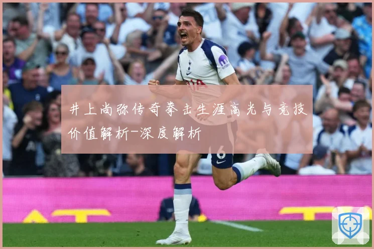 井上尚弥传奇拳击生涯高光与竞技价值解析-深度解析