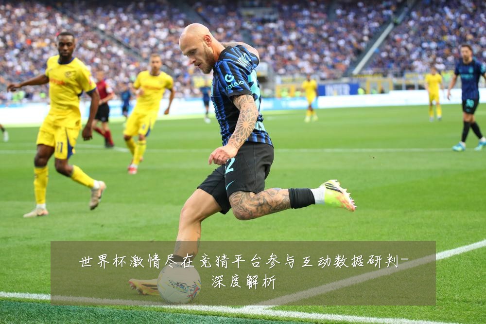 世界杯激情尽在竞猜平台参与互动数据研判-深度解析