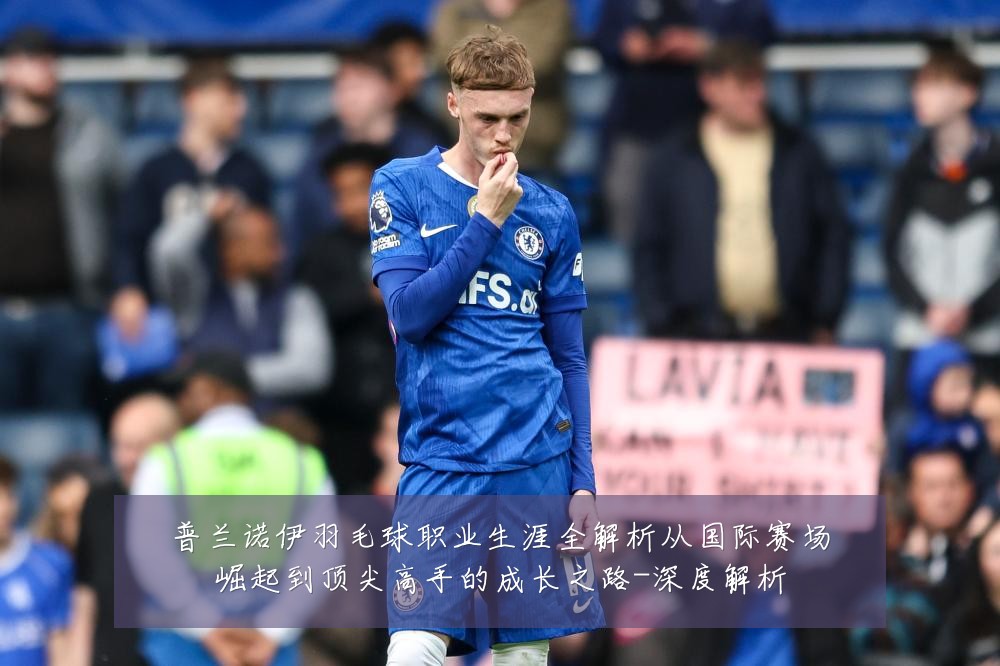 普兰诺伊羽毛球职业生涯全解析从国际赛场崛起到顶尖高手的成长之路-深度解析